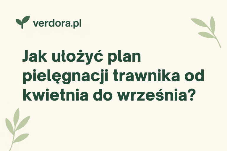 Jak ułożyć plan pielęgnacji trawnika od kwietnia do września