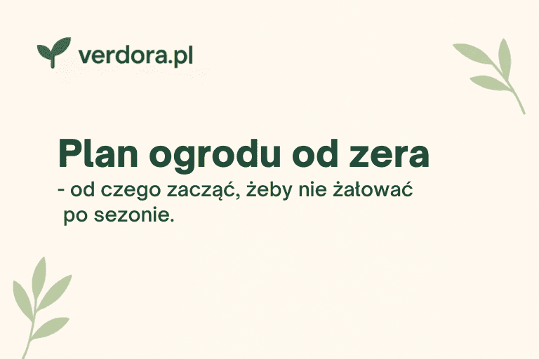 Plan ogrodu od zera – od czego zacząć, żeby nie żałować po sezonie — Verdora blog ogrodniczy
