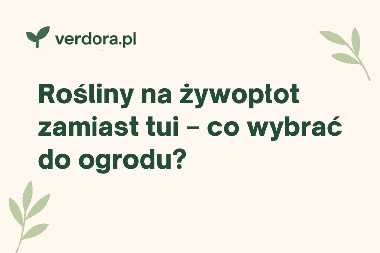 Rośliny na żywopłot zamiast tui – co wybrać do ogrodu? — Verdora blog ogrodniczy