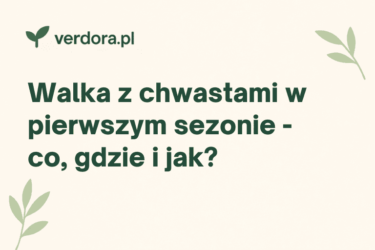 Walka z chwastami w pierwszym sezonie – co, gdzie i jak?