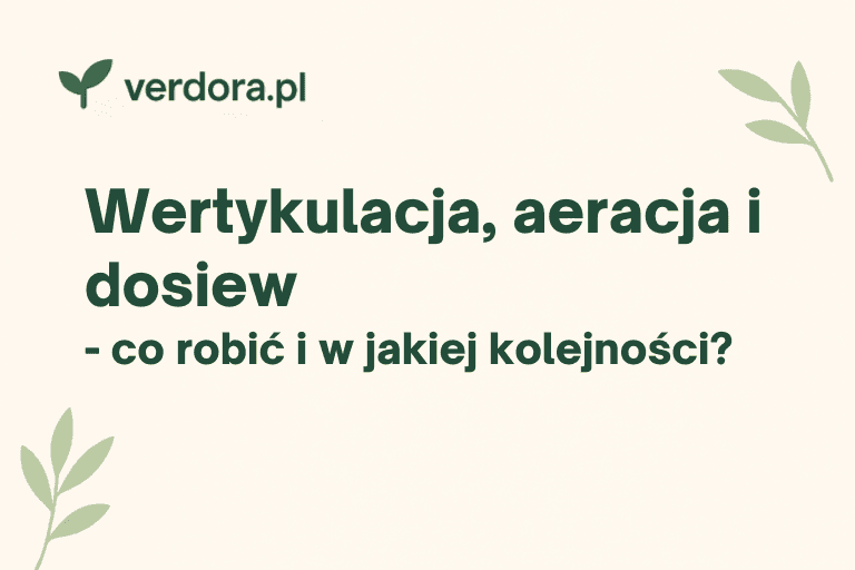 Wertykulacja, aeracja i dosiew – co robić i w jakiej kolejności — Verdora blog ogrodniczy