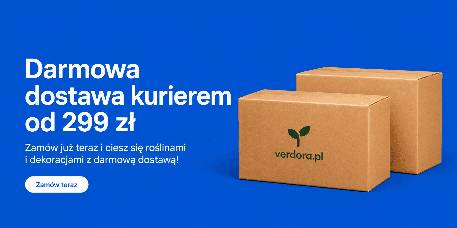 Darmowa dostawa kurierem od 299 zł