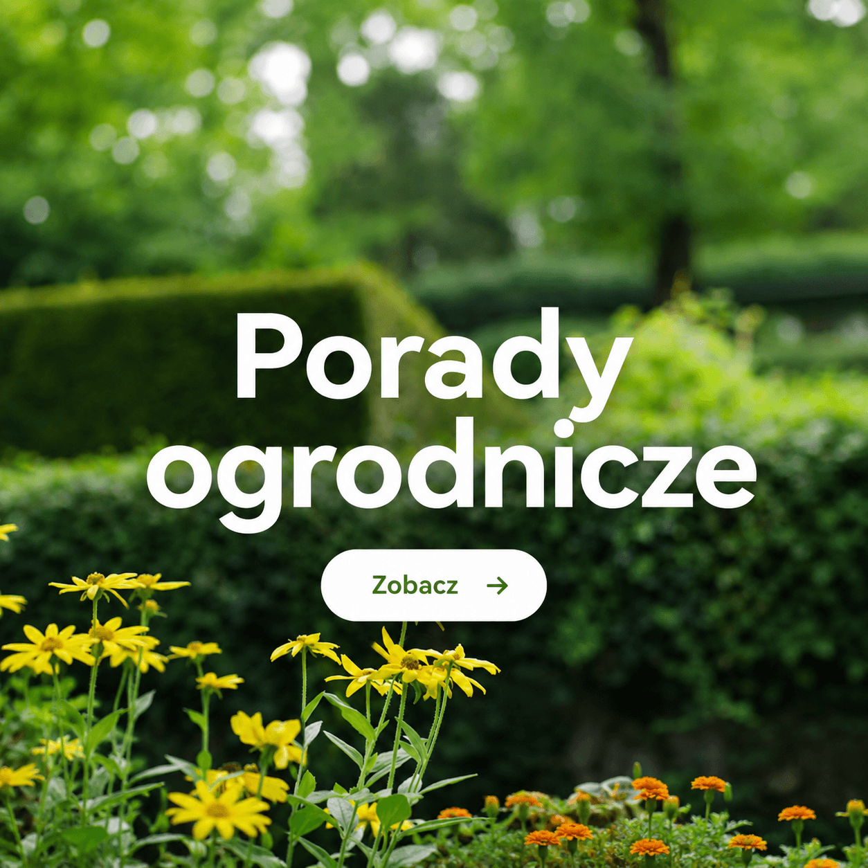 Blog ogrodniczy - Porady dla twojego ogrodu!