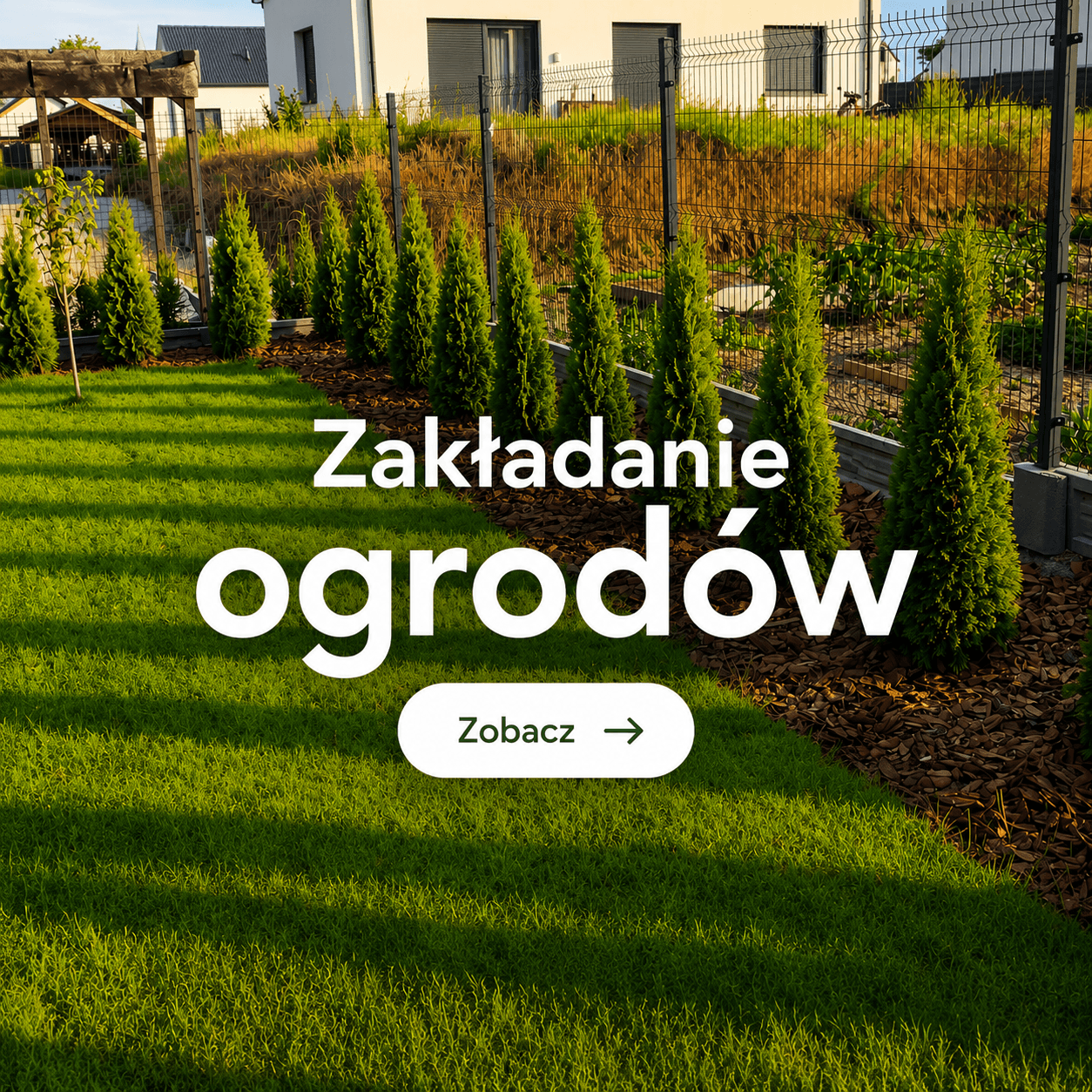 Promocje — zobacz ofertę