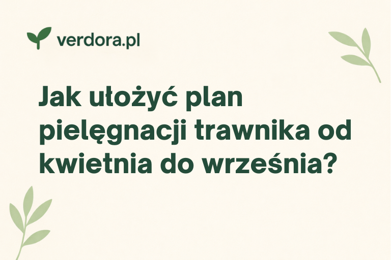 Jak ułożyć plan pielęgnacji trawnika od kwietnia do września